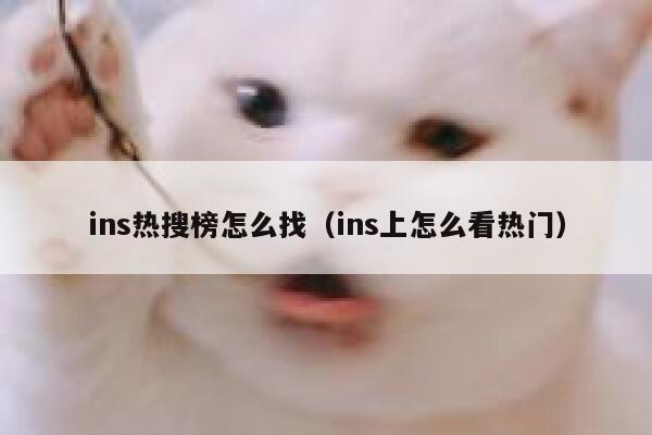 ins热搜榜怎么找（ins上怎么看热门） 第1张