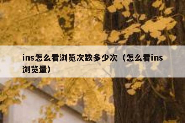 ins怎么看浏览次数多少次（怎么看ins浏览量） 第1张