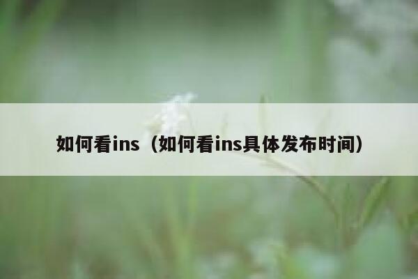 如何看ins（如何看ins具体发布时间） 第1张