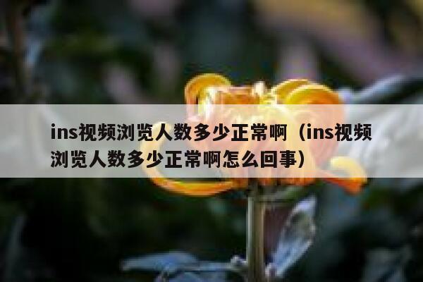 ins视频浏览人数多少正常啊（ins视频浏览人数多少正常啊怎么回事） 第1张