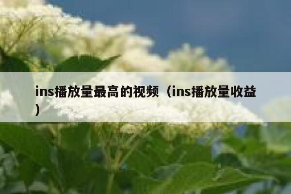 ins播放量最高的视频（ins播放量收益） 第1张