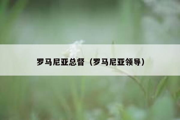 罗马尼亚总督（罗马尼亚领导） 第1张
