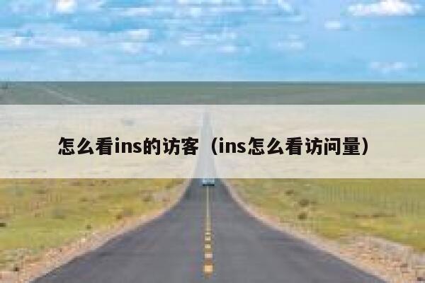 怎么看ins的访客（ins怎么看访问量） 第1张