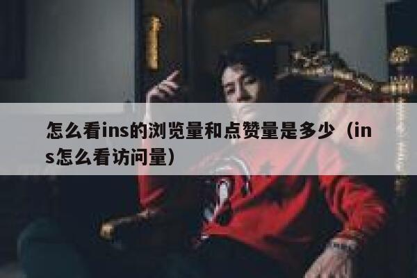 怎么看ins的浏览量和点赞量是多少（ins怎么看访问量） 第1张
