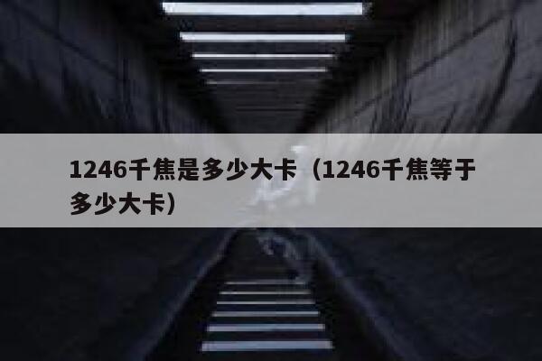 1246千焦是多少大卡（1246千焦等于多少大卡） 第1张