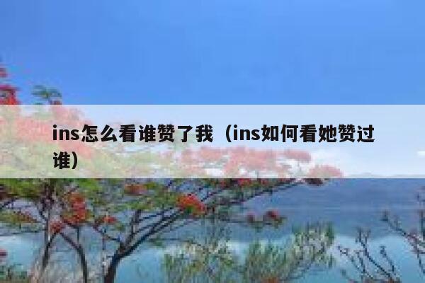 ins怎么看谁赞了我（ins如何看她赞过谁） 第1张