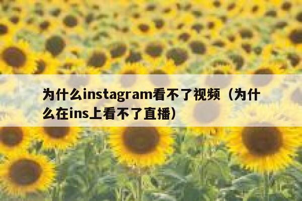 为什么instagram看不了视频（为什么在ins上看不了直播） 第1张