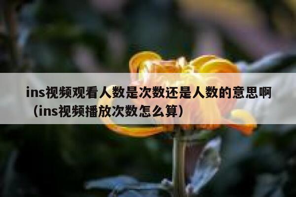 ins视频观看人数是次数还是人数的意思啊（ins视频播放次数怎么算） 第1张