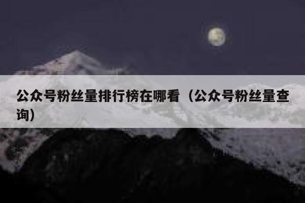 公众号粉丝量排行榜在哪看（公众号粉丝量查询） 第1张