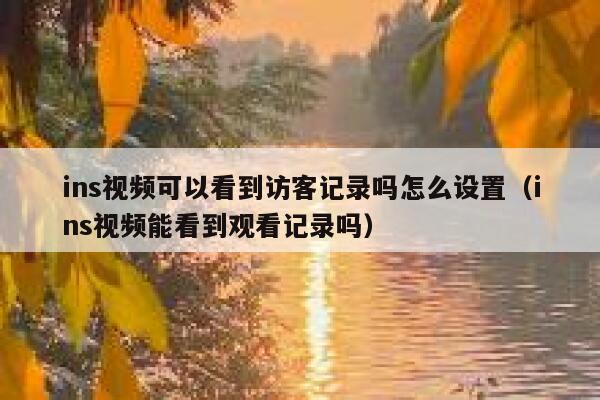 ins视频可以看到访客记录吗怎么设置（ins视频能看到观看记录吗） 第1张