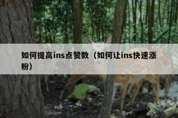 如何提高ins点赞数（如何让ins快速涨粉） 第1张