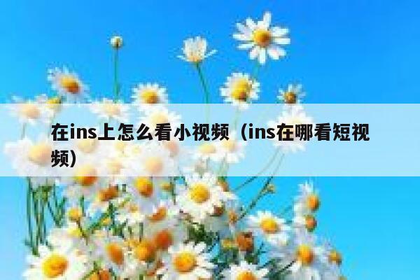 在ins上怎么看小视频（ins在哪看短视频） 第1张