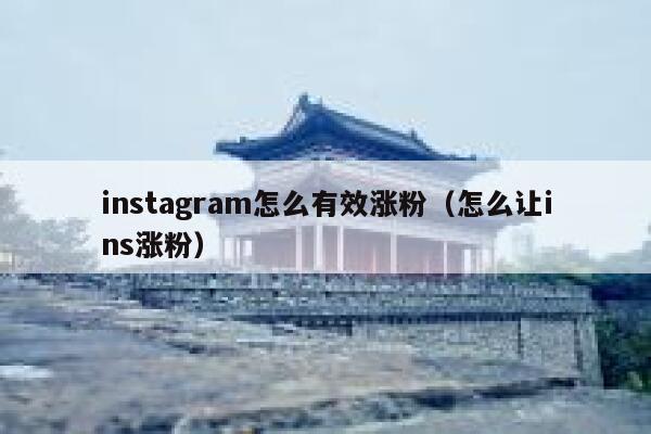 instagram怎么有效涨粉（怎么让ins涨粉） 第1张