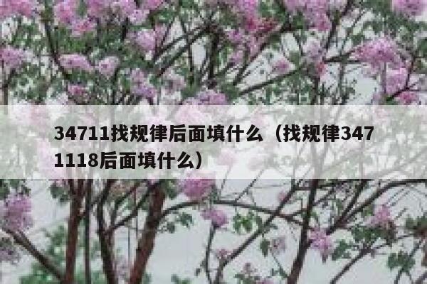 34711找规律后面填什么（找规律3471118后面填什么） 第1张