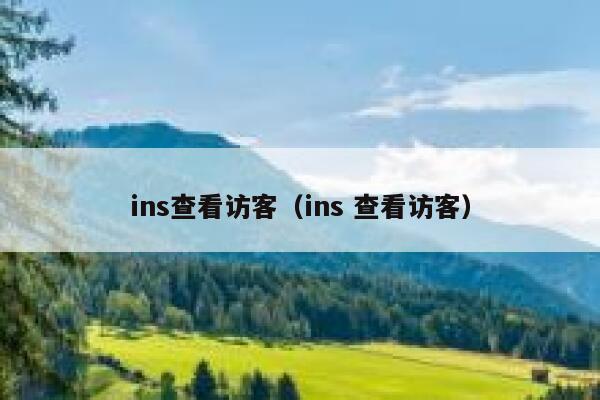 ins查看访客（ins 查看访客） 第1张