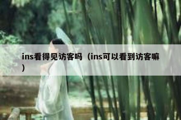 ins看得见访客吗（ins可以看到访客嘛） 第1张
