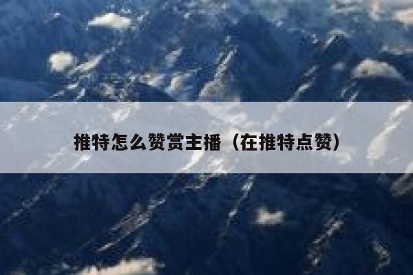 推特怎么赞赏主播（在推特点赞） 第1张
