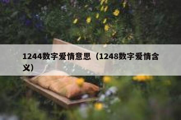 1244数字爱情意思（1248数字爱情含义） 第1张