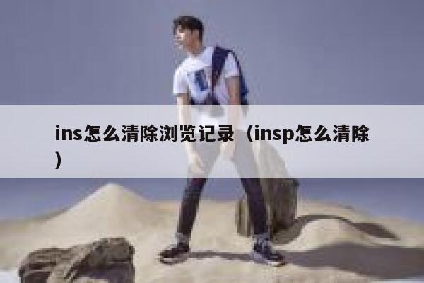 ins怎么清除浏览记录（insp怎么清除） 第1张