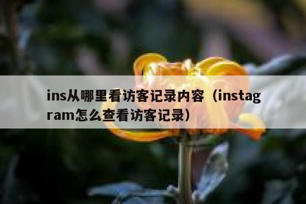 ins从哪里看访客记录内容（instagram怎么查看访客记录） 第1张
