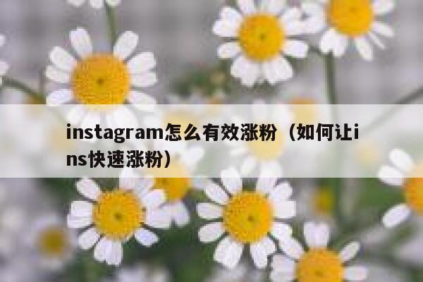 instagram怎么有效涨粉（如何让ins快速涨粉） 第1张