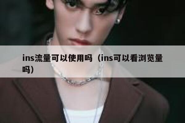 ins流量可以使用吗（ins可以看浏览量吗） 第1张