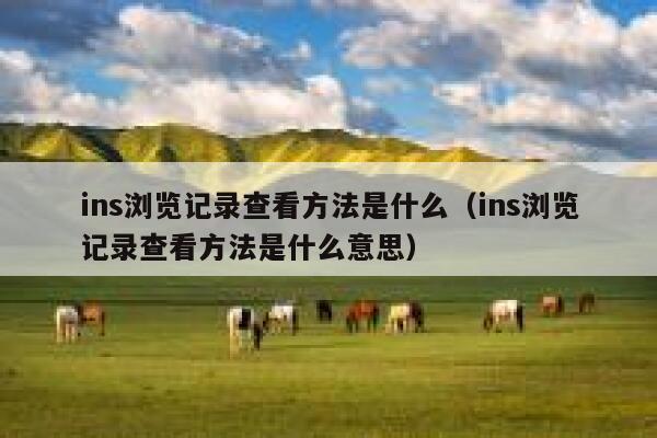 ins浏览记录查看方法是什么（ins浏览记录查看方法是什么意思） 第1张