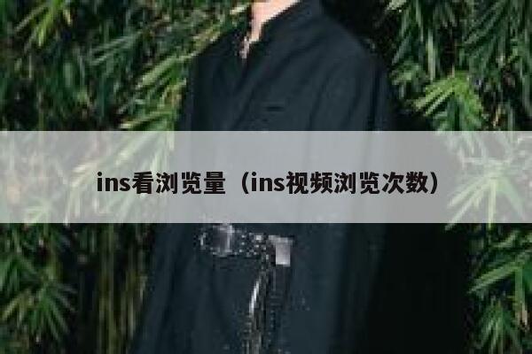 ins看浏览量（ins视频浏览次数） 第1张