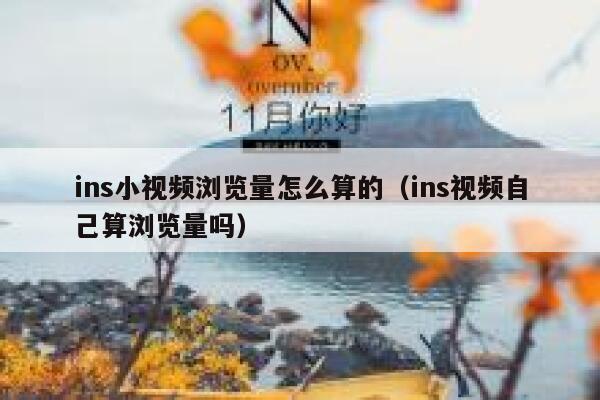 ins小视频浏览量怎么算的（ins视频自己算浏览量吗） 第1张