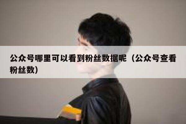 公众号哪里可以看到粉丝数据呢（公众号查看粉丝数） 第1张