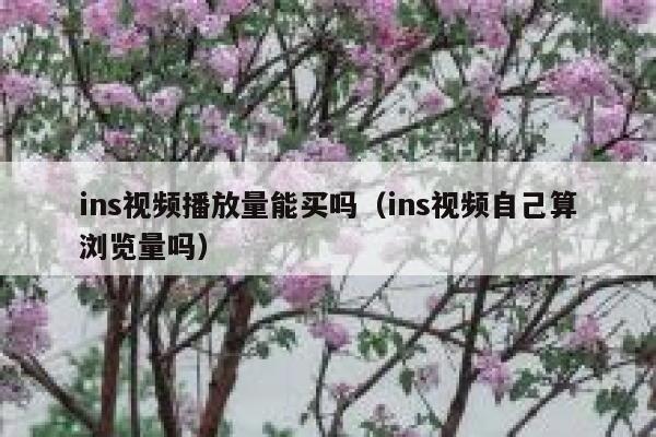 ins视频播放量能买吗（ins视频自己算浏览量吗） 第1张