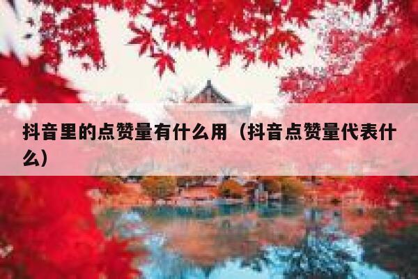 抖音里的点赞量有什么用（抖音点赞量代表什么） 第1张