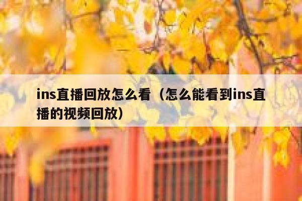ins直播回放怎么看（怎么能看到ins直播的视频回放） 第1张
