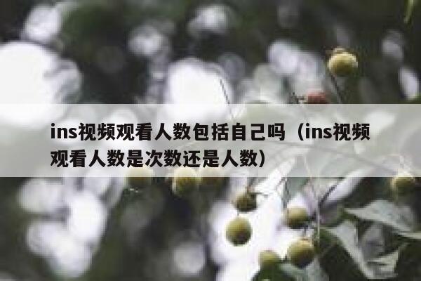 ins视频观看人数包括自己吗(ins视频观看人数是次数还是人数) 第1张 ins视频观看人数包括自己吗(ins视频观看人数是次数还是人数) 第1张