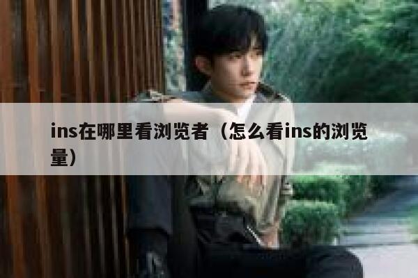 ins在哪里看浏览者（怎么看ins的浏览量） 第1张