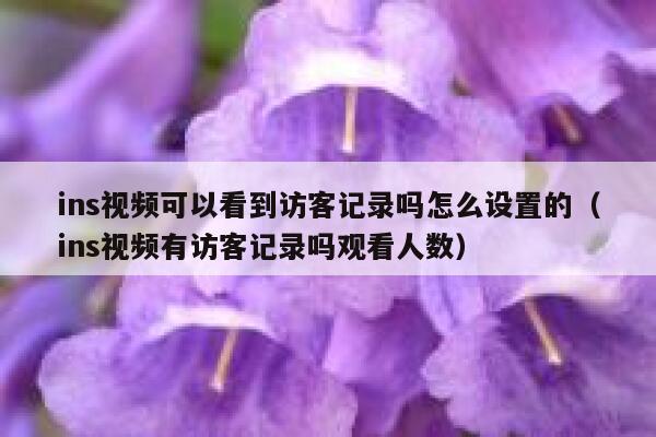 ins视频可以看到访客记录吗怎么设置的（ins视频有访客记录吗观看人数） 第1张