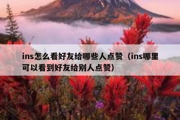 ins怎么看好友给哪些人点赞（ins哪里可以看到好友给别人点赞） 第1张
