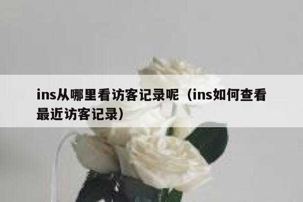 ins从哪里看访客记录呢（ins如何查看最近访客记录） 第1张