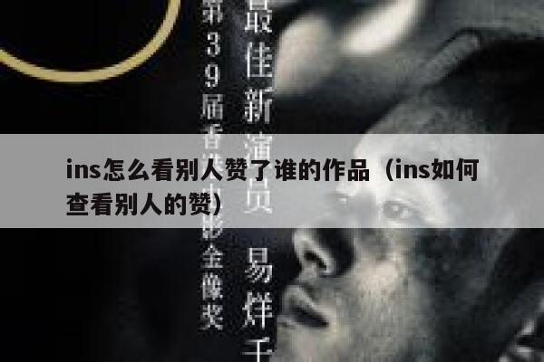 ins怎么看别人赞了谁的作品（ins如何查看别人的赞） 第1张