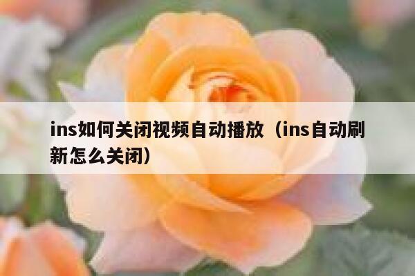 ins如何关闭视频自动播放（ins自动刷新怎么关闭） 第1张