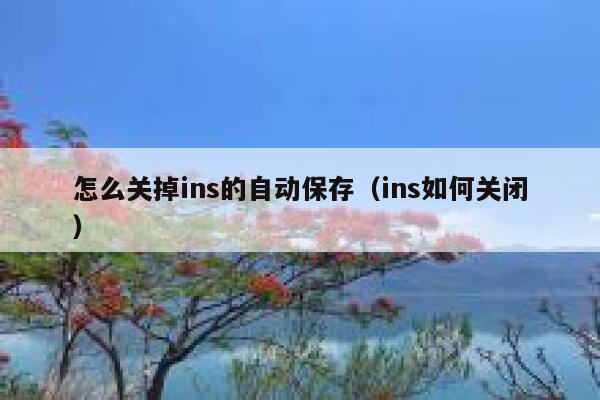 怎么关掉ins的自动保存（ins如何关闭） 第1张