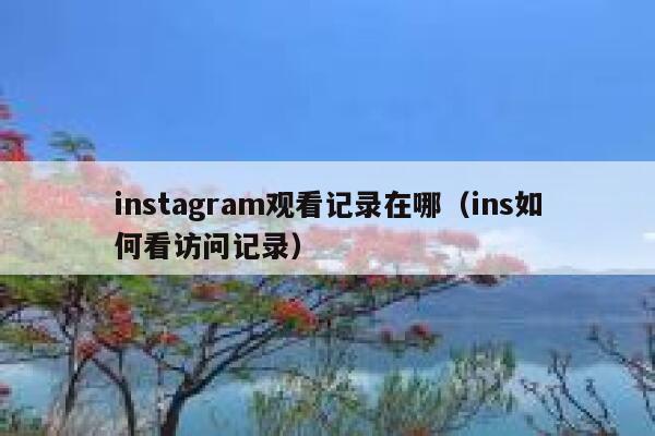 instagram观看记录在哪（ins如何看访问记录） 第1张