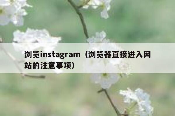 浏览instagram（浏览器直接进入网站的注意事项） 第1张
