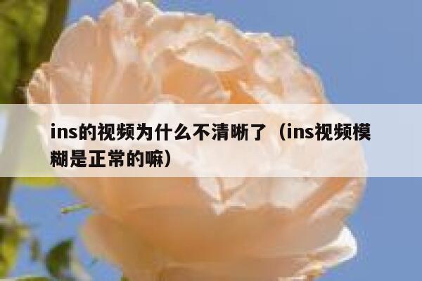 ins的视频为什么不清晰了（ins视频模糊是正常的嘛） 第1张