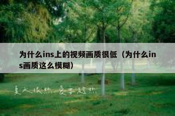 为什么ins上的视频画质很低（为什么ins画质这么模糊） 第1张