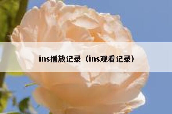 ins播放记录（ins观看记录） 第1张