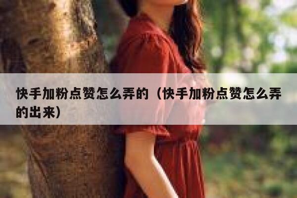 快手加粉点赞怎么弄的（快手加粉点赞怎么弄的出来） 第1张