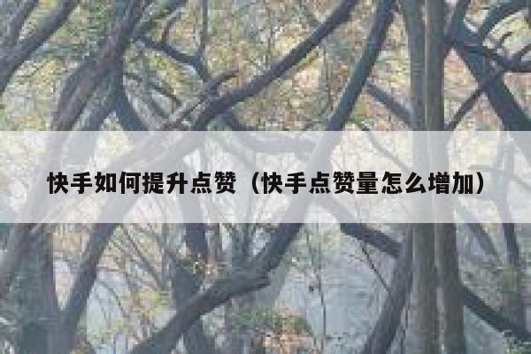快手如何提升点赞（快手点赞量怎么增加） 第1张