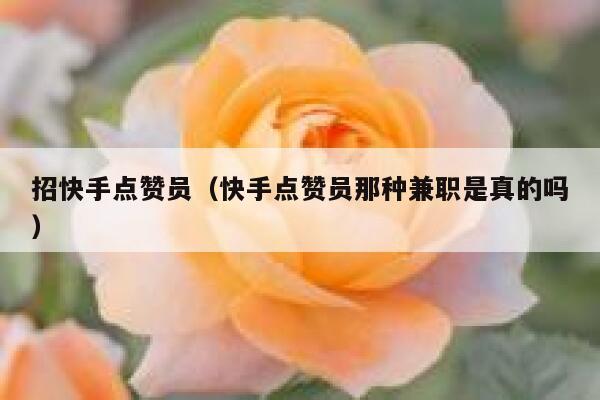 招快手点赞员（快手点赞员那种兼职是真的吗） 第1张