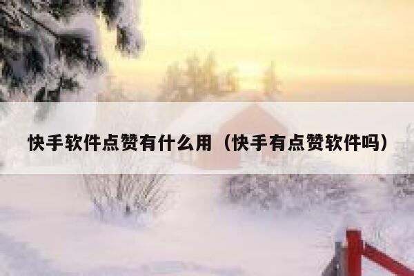 快手软件点赞有什么用(快手有点赞软件吗) 第1张 快手软件点赞有什么用(快手有点赞软件吗) 第1张